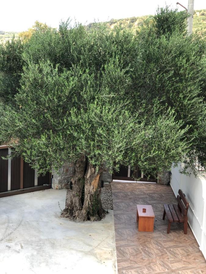 Вилла Creta Galini House Sirilion Экстерьер фото